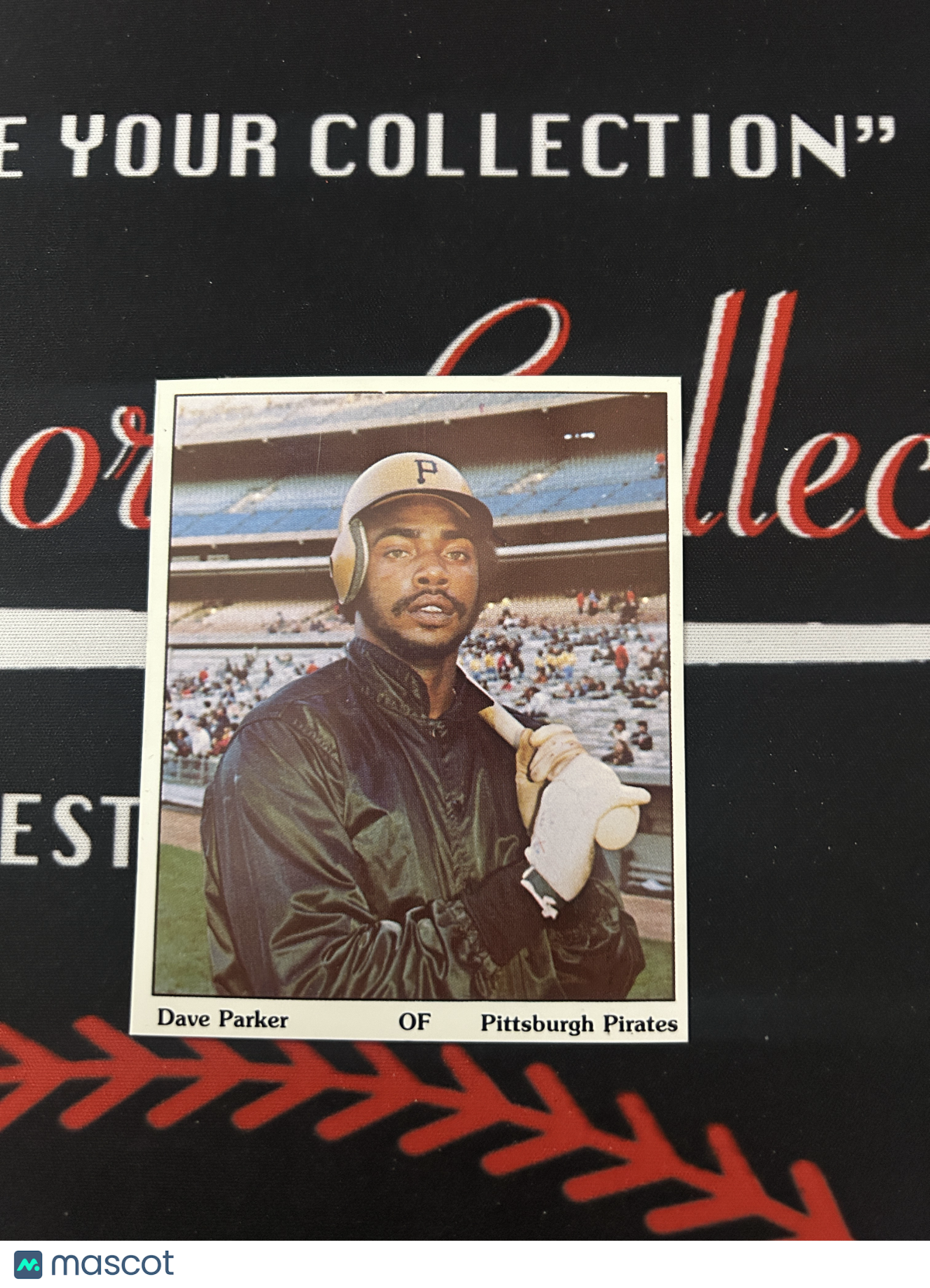 1975 Puzzle Back DAVE PARKER (NM)