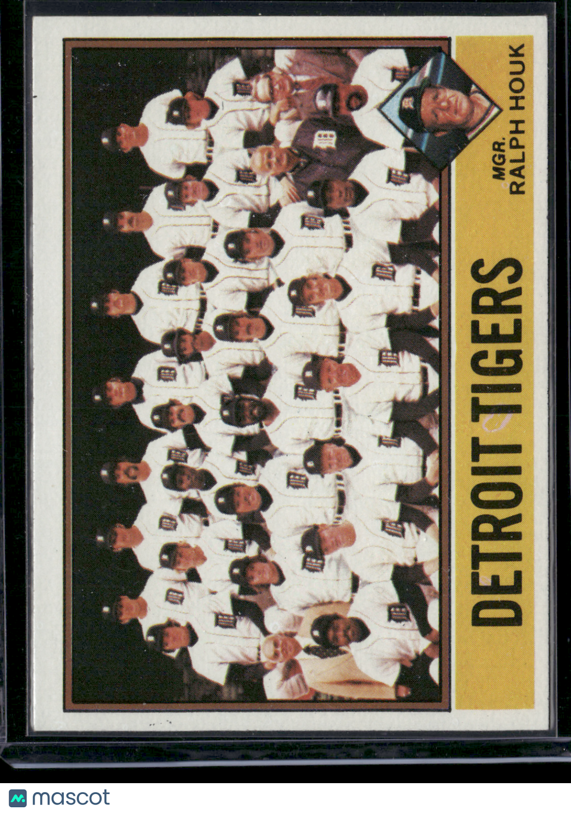 1976 Topps DETROIT TIGERS #361 (VG-EX)