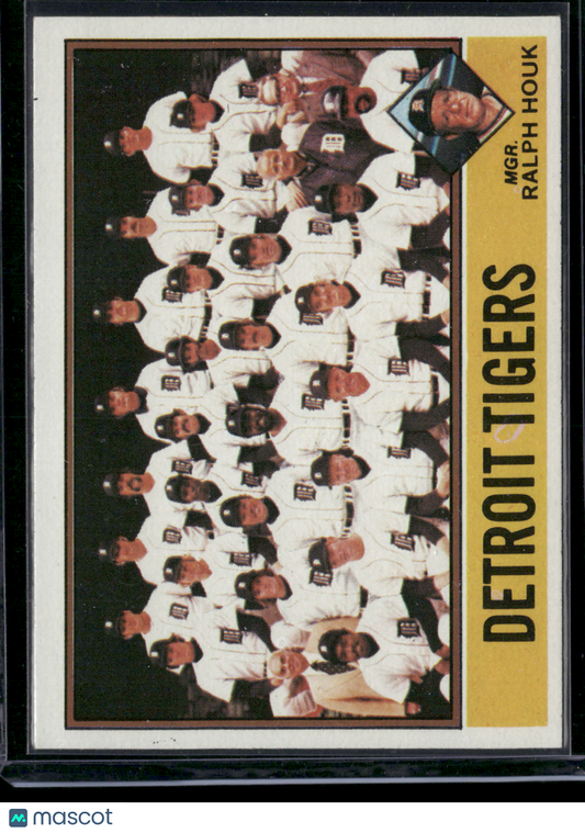 1976 Topps DETROIT TIGERS #361 (VG-EX)
