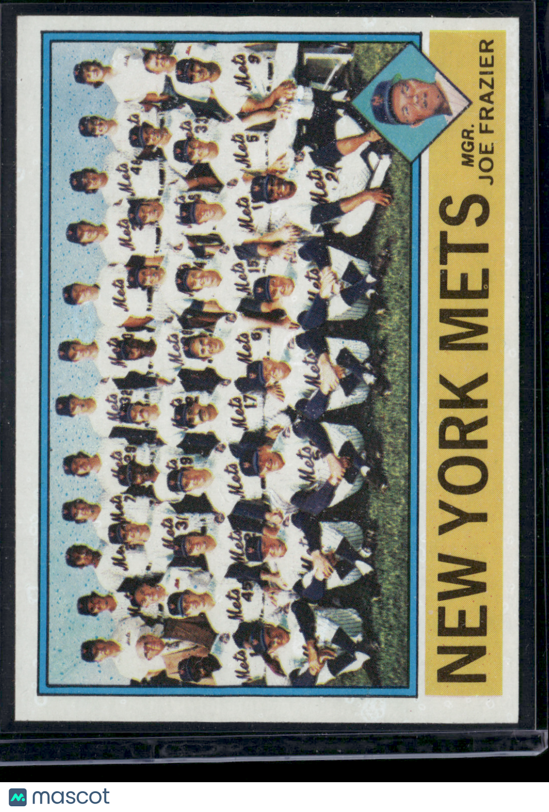 1976 Topps NEW YORK METS #531 (EX)