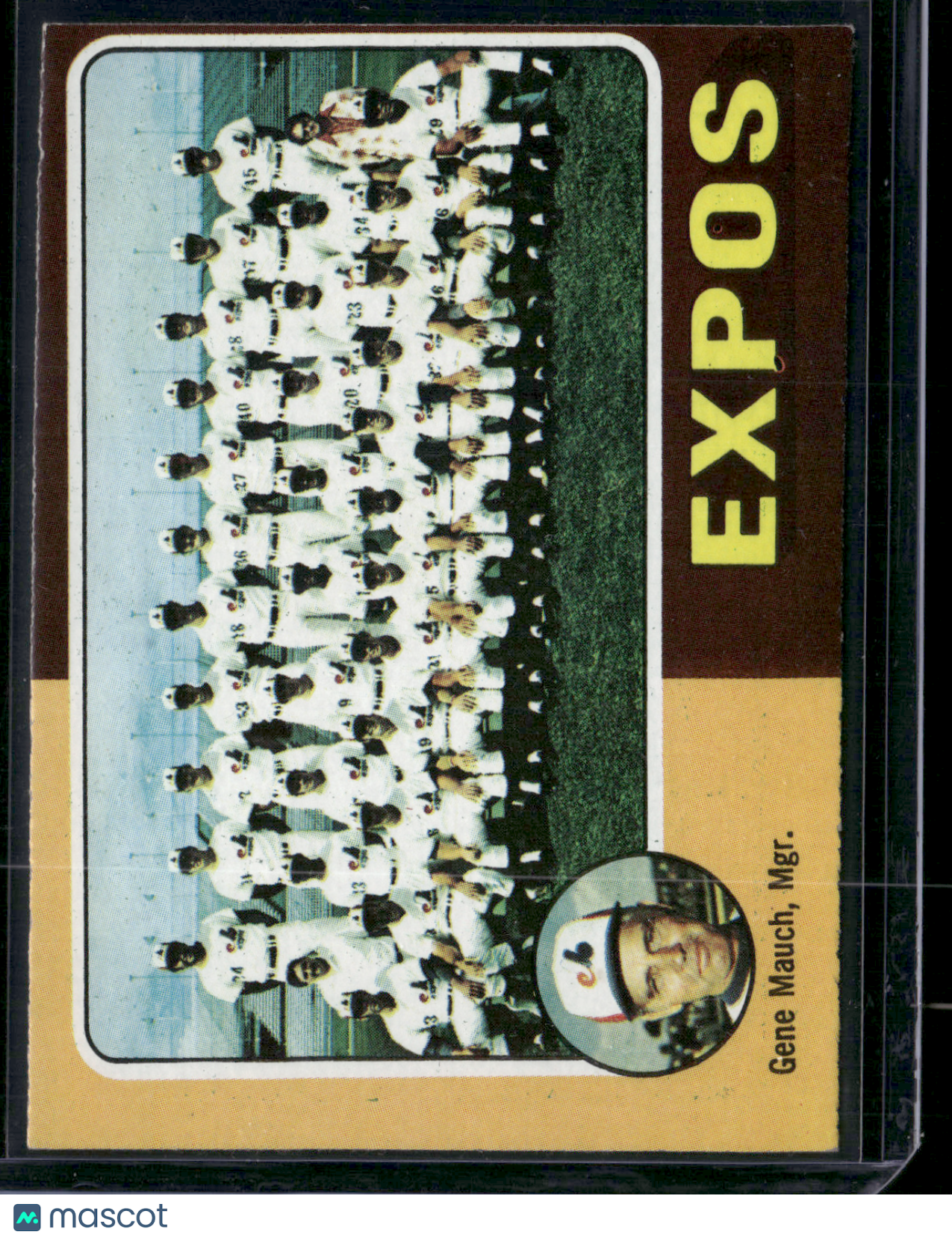 1975 Topps MONTREAL EXPOS #101 (EX)