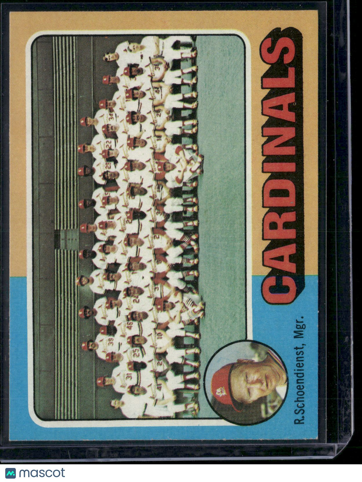 1975 Topps ST. LOUIS CARDINALS #246 (EX)