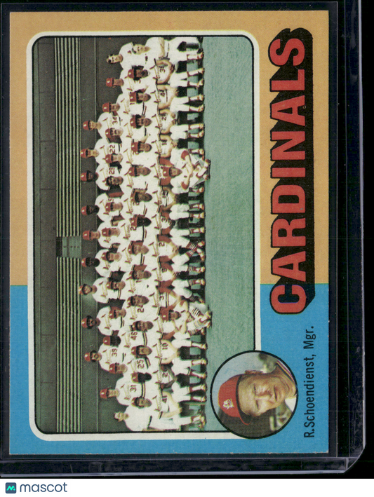 1975 Topps ST. LOUIS CARDINALS #246 (EX)