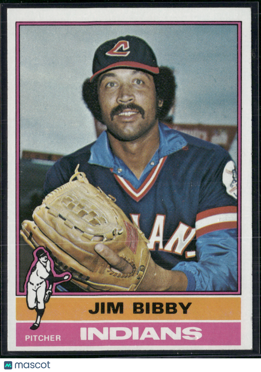 1976 Topps JIM BIBBY #324 Pressure Dent (VG/EX-EX)