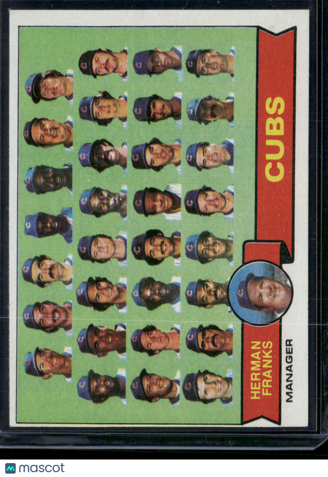 1979 Topps CHICAGO CUBS #551 (EX-EX/MT)