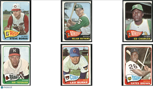 1965 Topps 10 CARDLOT - Commons (VG)