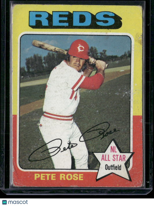1975 Topps PETE ROSE #320 (VG)