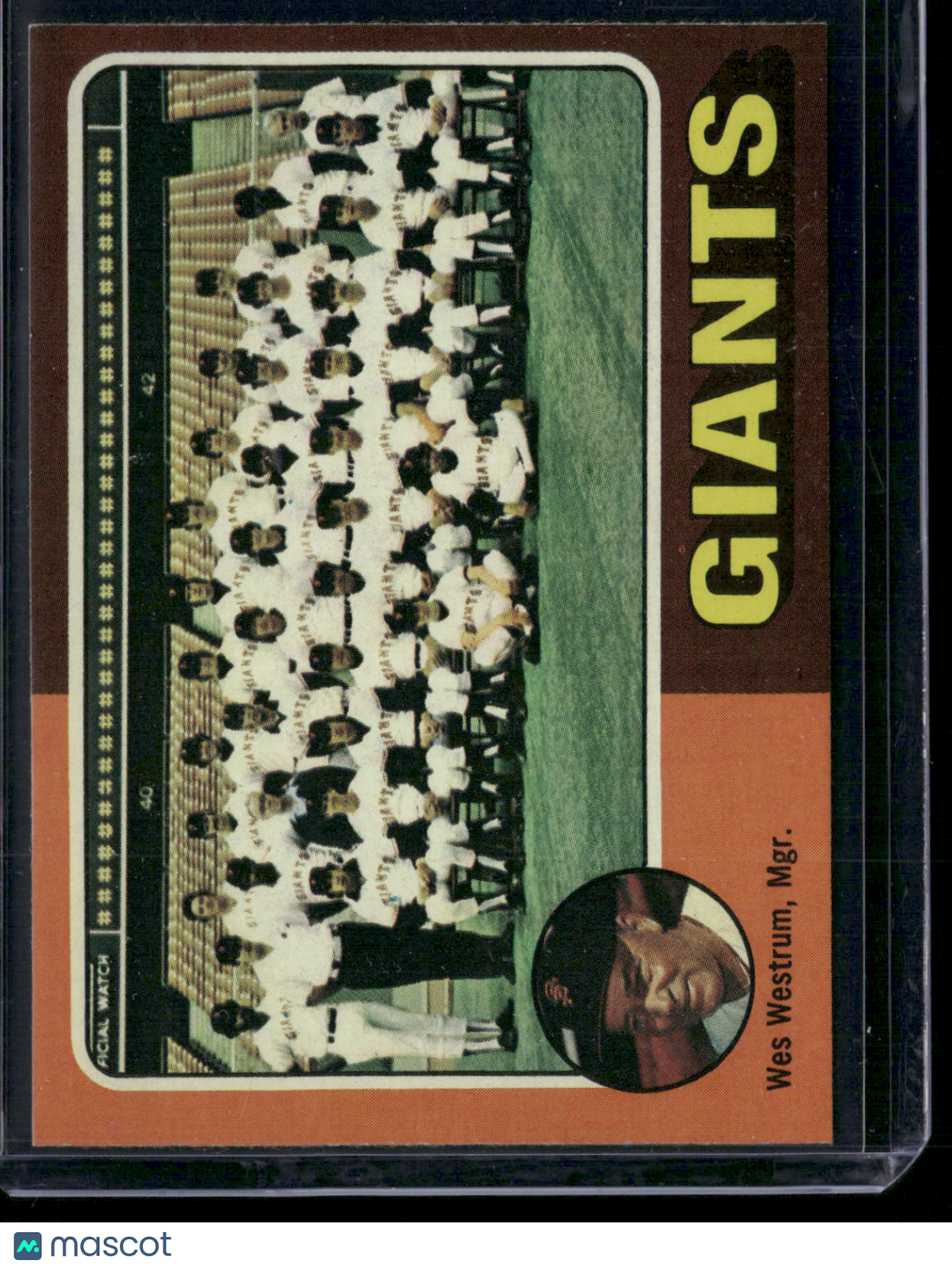 1975 Topps SAN FRANCISCO GIANTS #216 (EX-EX/MT)