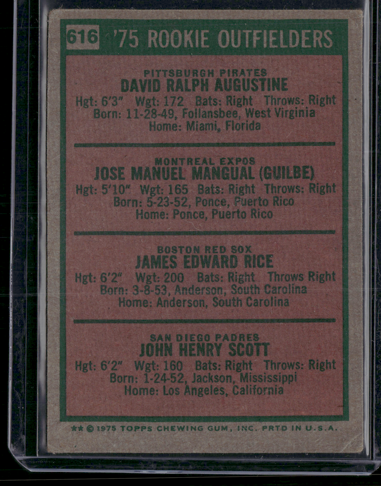 1975 Topps JIM RICE #616 Rookie Outfielders Rookie RC (VG)