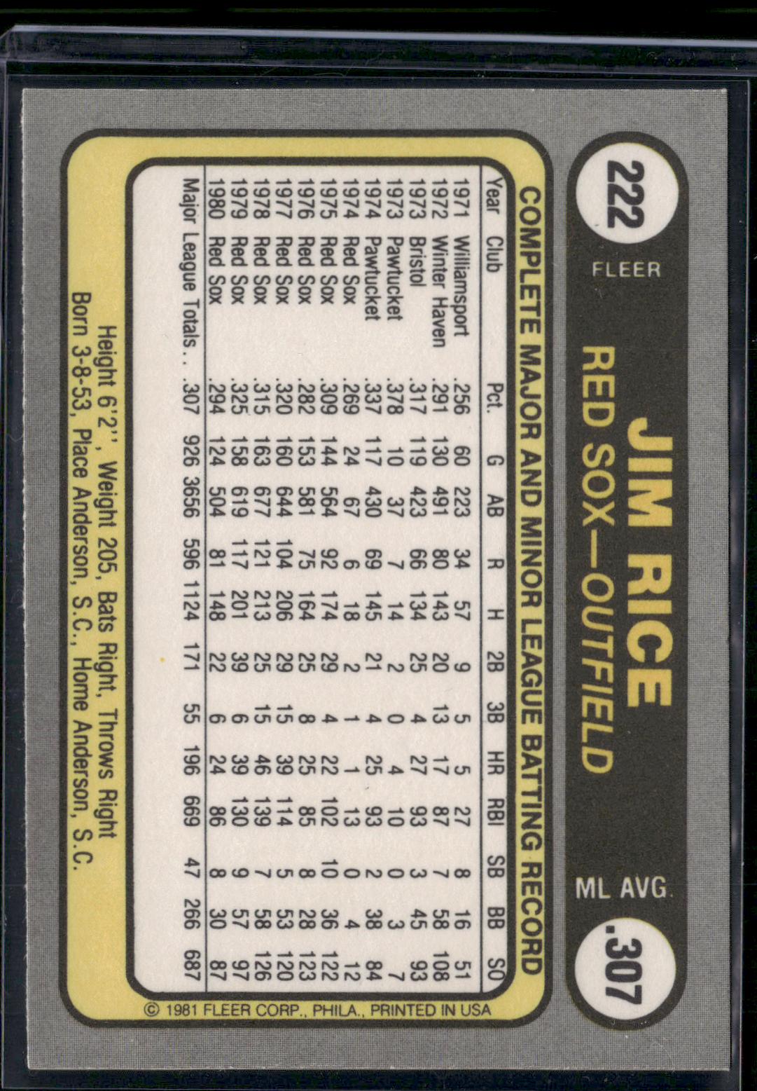1981 Fleer JIM RICE #222 (NM)