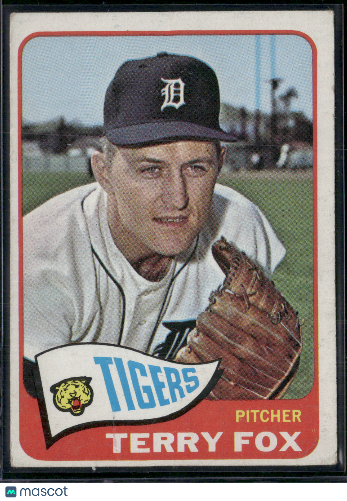 1965 Topps TERRY FOX #576 (VG)
