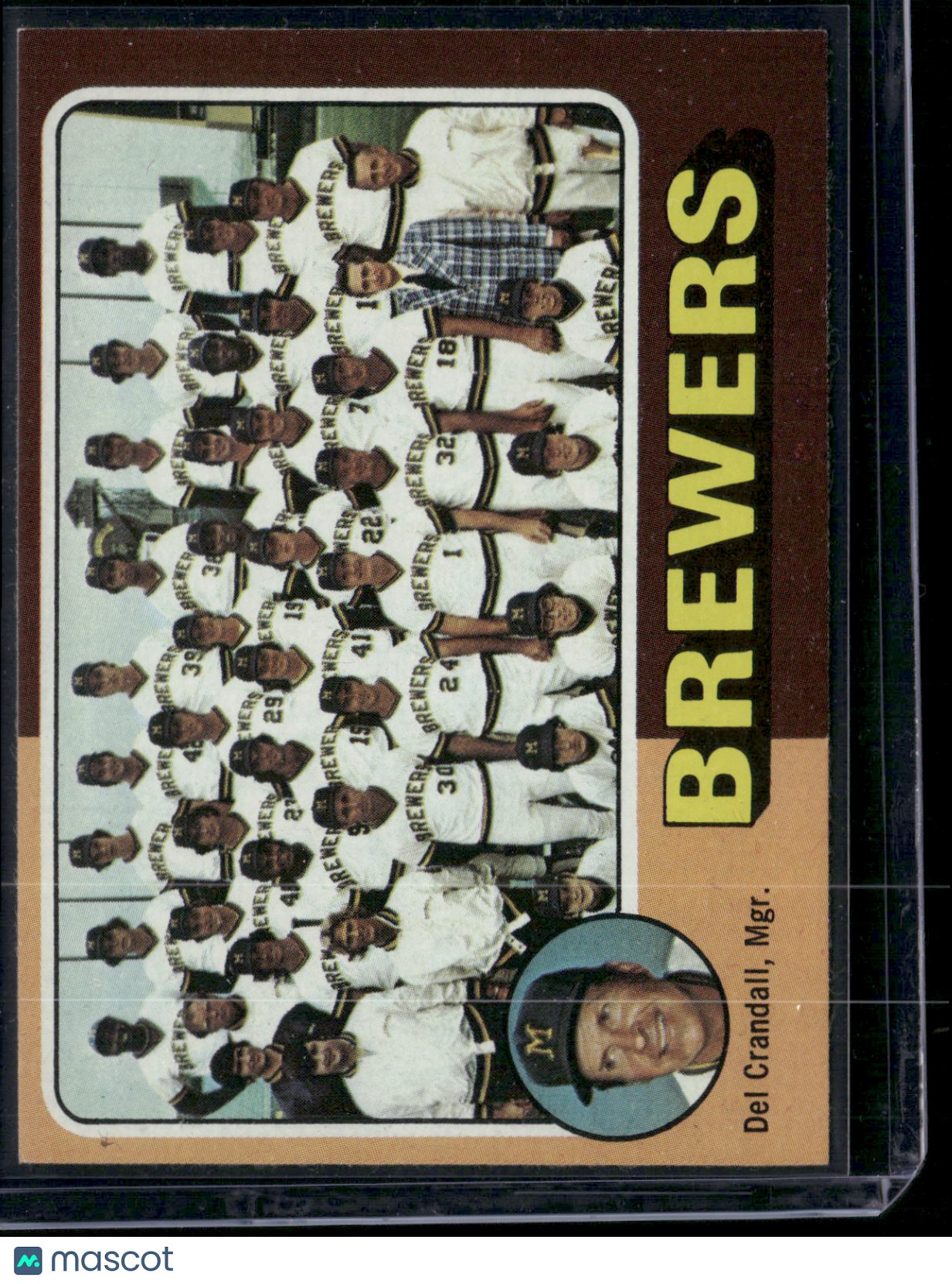 1975 Topps MILWAUKEE BREWERS #384 (EX-EX/MT)
