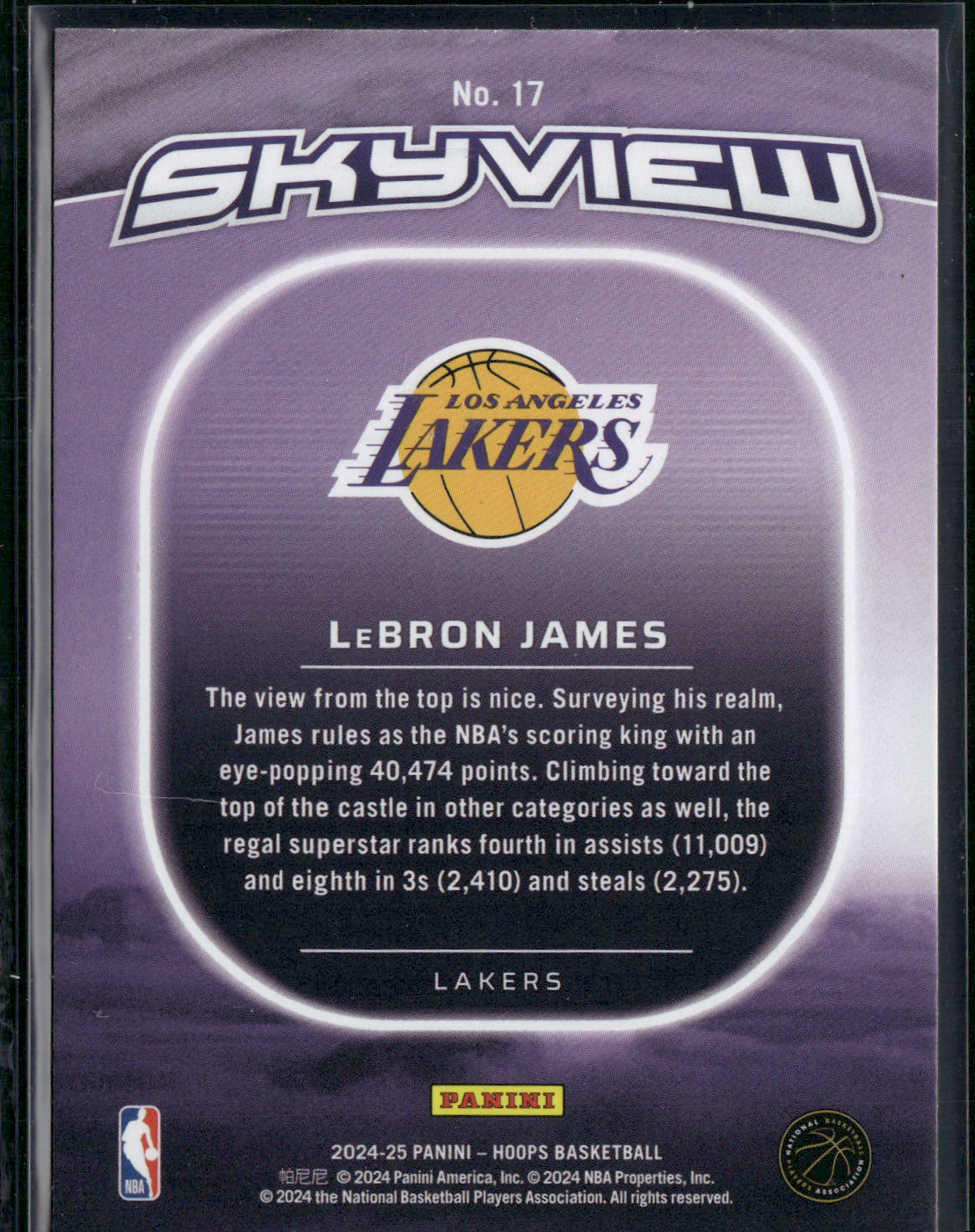 2024 NBA Hoops LEBRON JAMES #17 Skyview