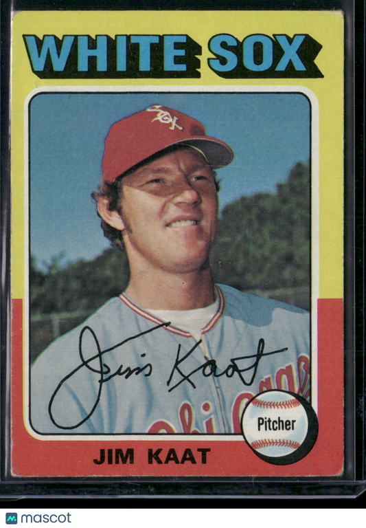 1975 Topps JIM KAAT #243 (VG/EX)