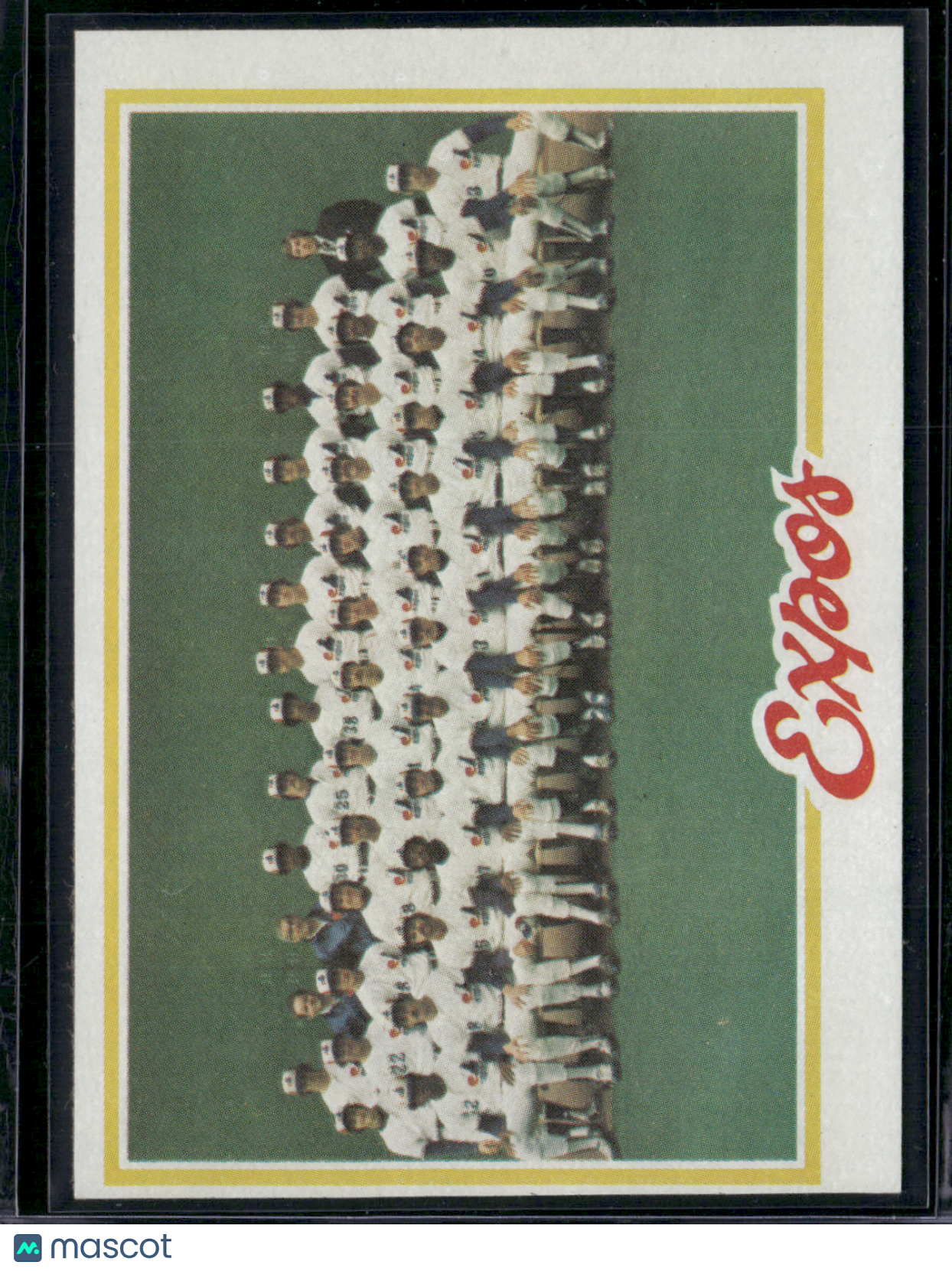 1978 Topps MONTREAL EXPOS #244 (EX-EX/MT)