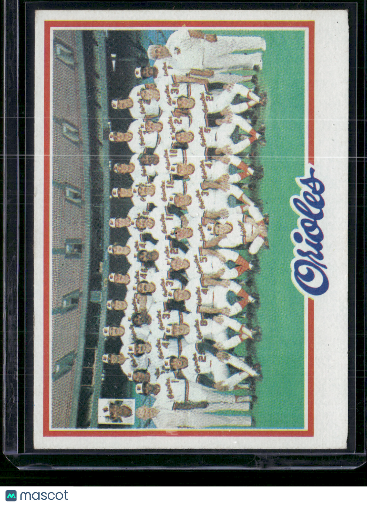 1978 Topps BALTIMORE ORIOLES #96 Edge Chip (EX)