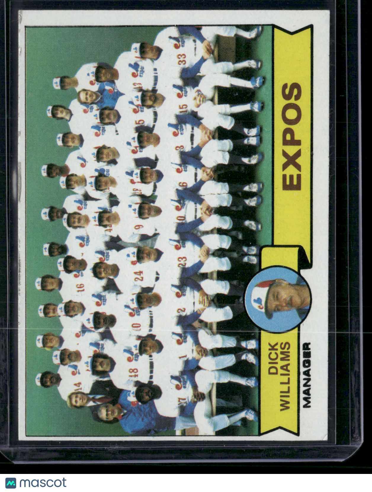 1979 Topps MONTREAL EXPOS #606 Edge Chip (EX)