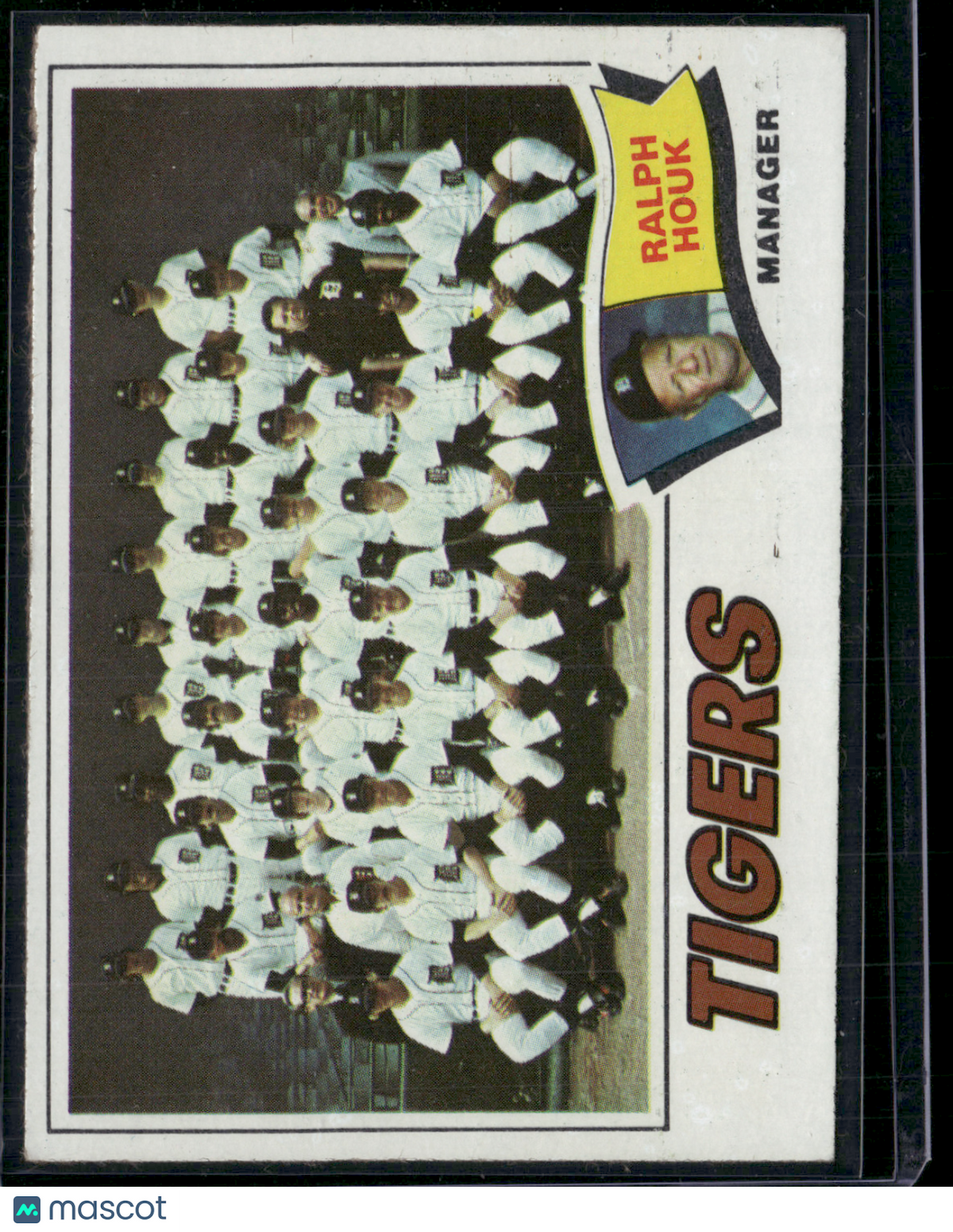 1977 Topps DETROIT TIGERS #621 (EX)