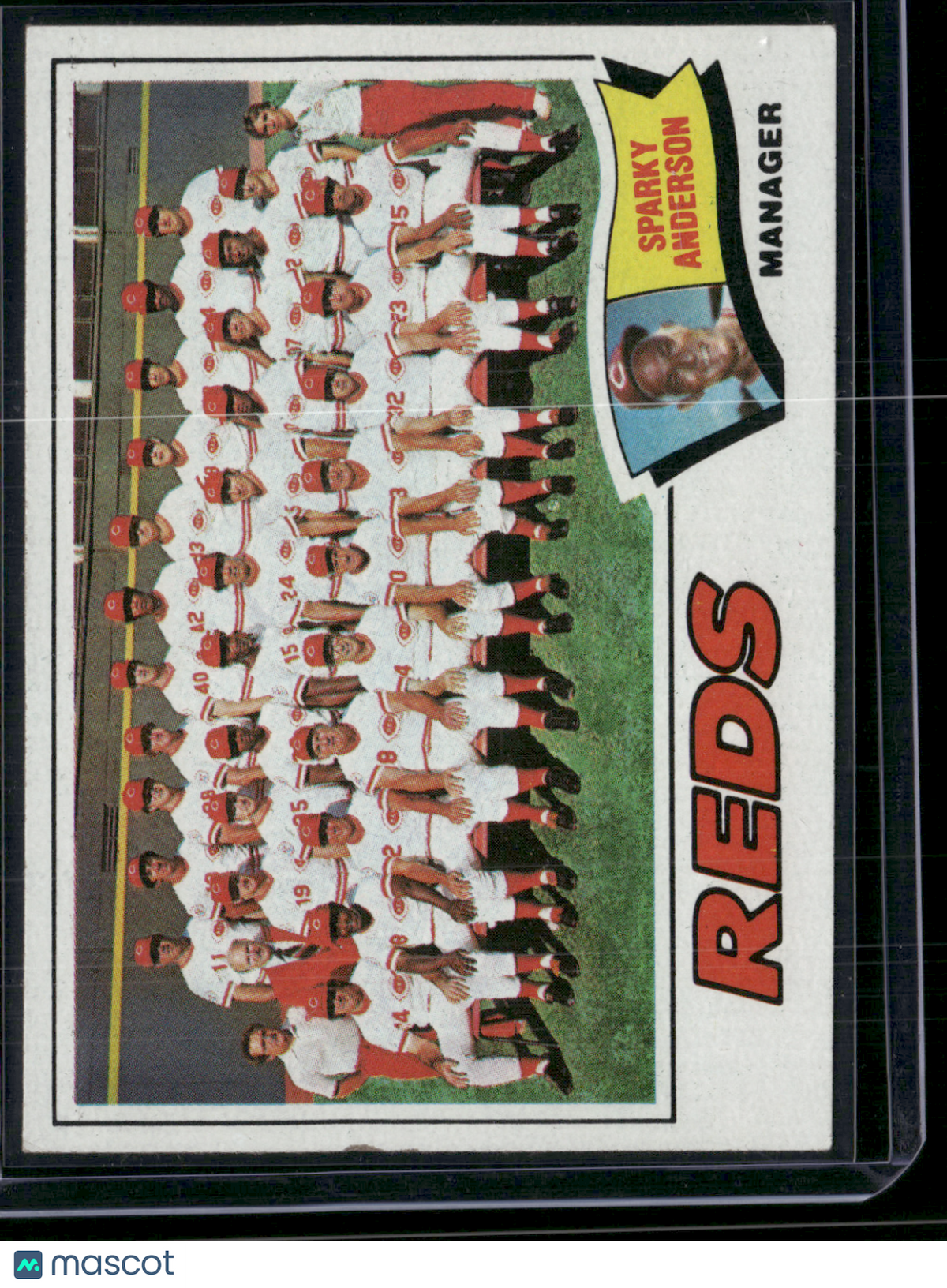 1977 Topps CINCINNATI REDS #287 Edge Chip (EX)