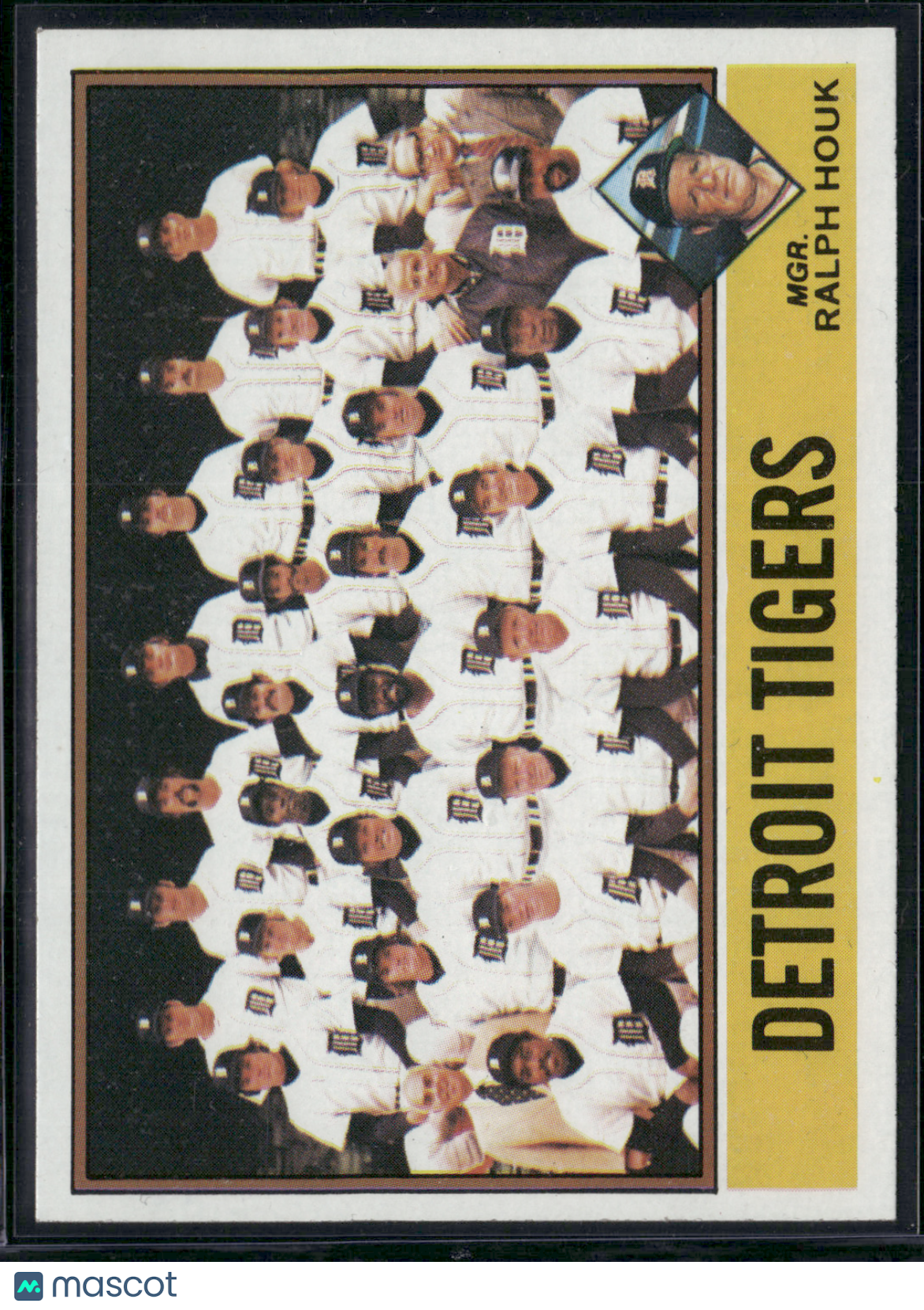 1976 Topps DETROIT TIGERS #361 (EX-EX/MT)