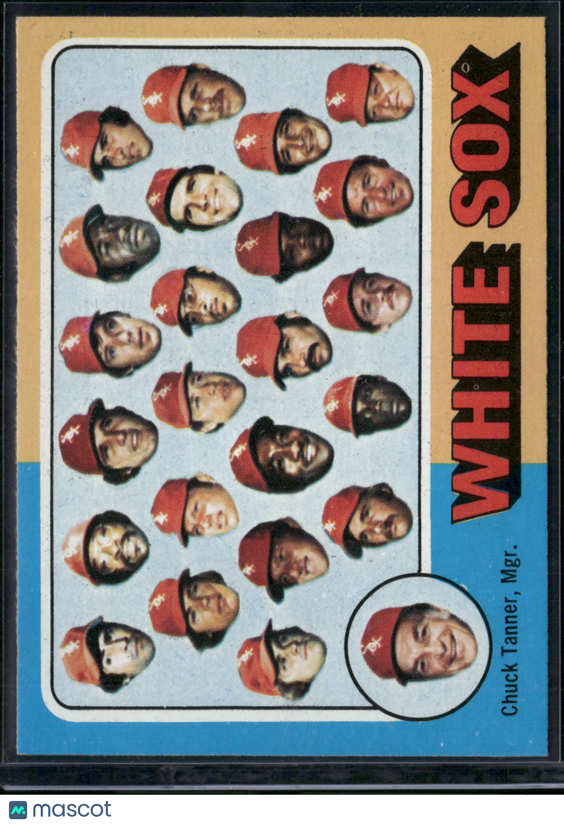 1975 Topps CHICAGO WHITE SOX #276 (EX-EX/MT)