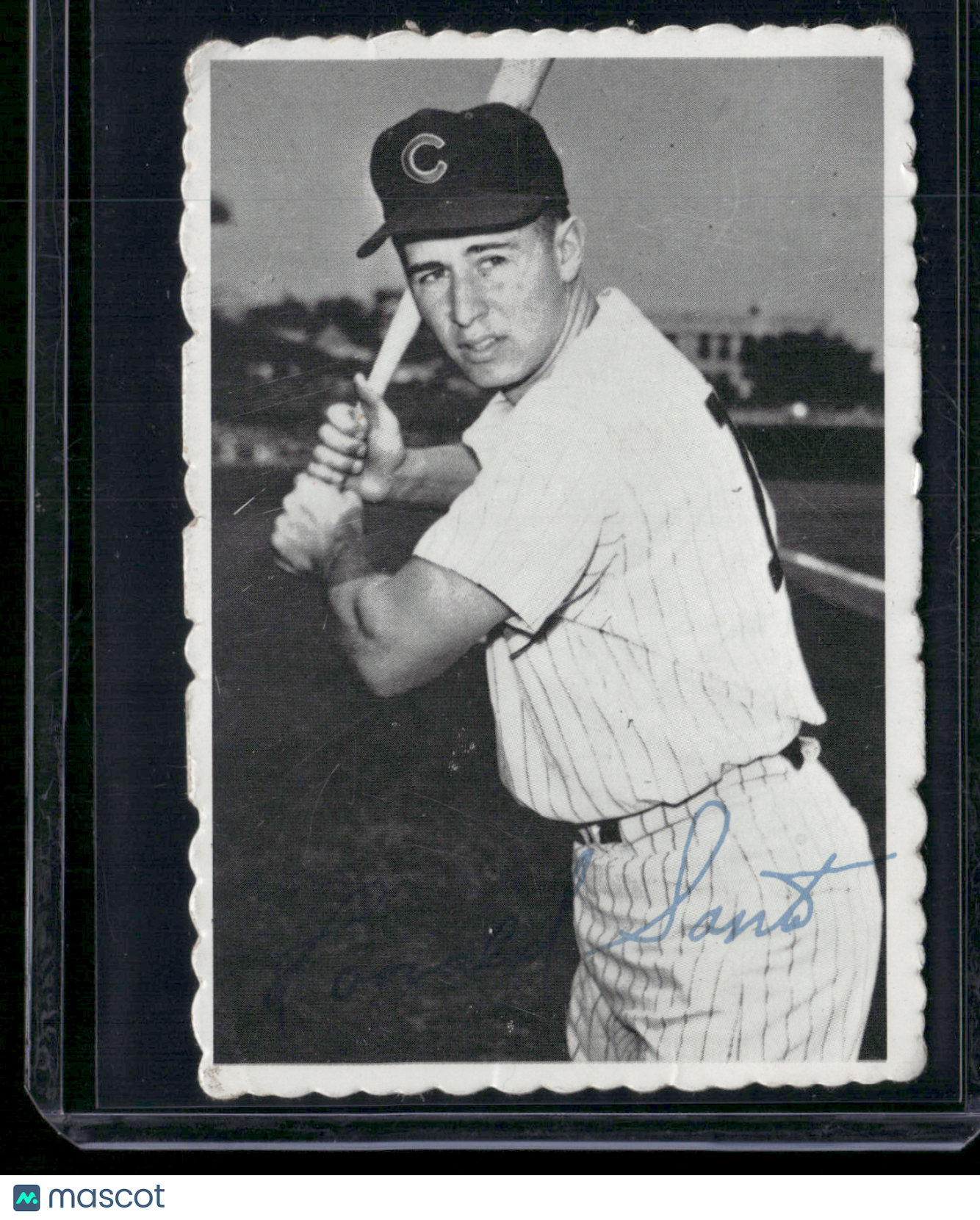 1969 Deckle RON SANTO #19 surface scratch Wrinkle (Good)