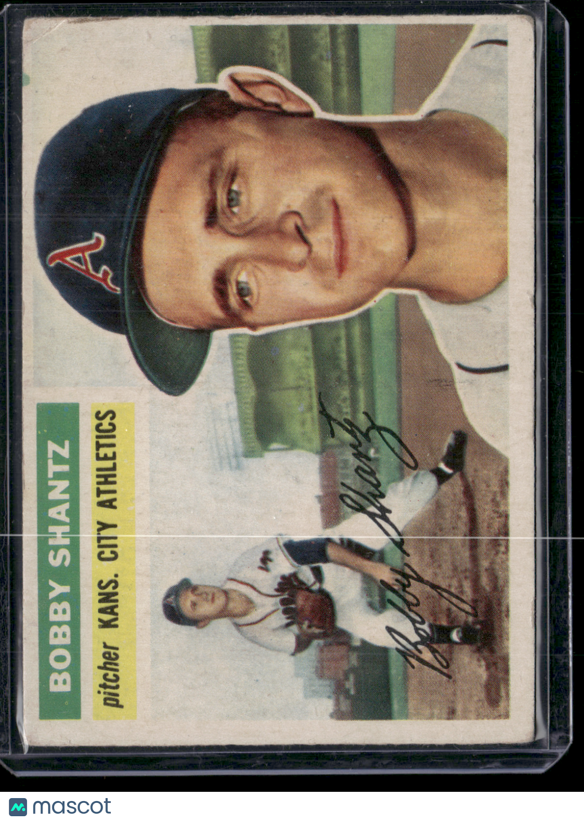 1956 Topps BOBBY SHANTZ #261