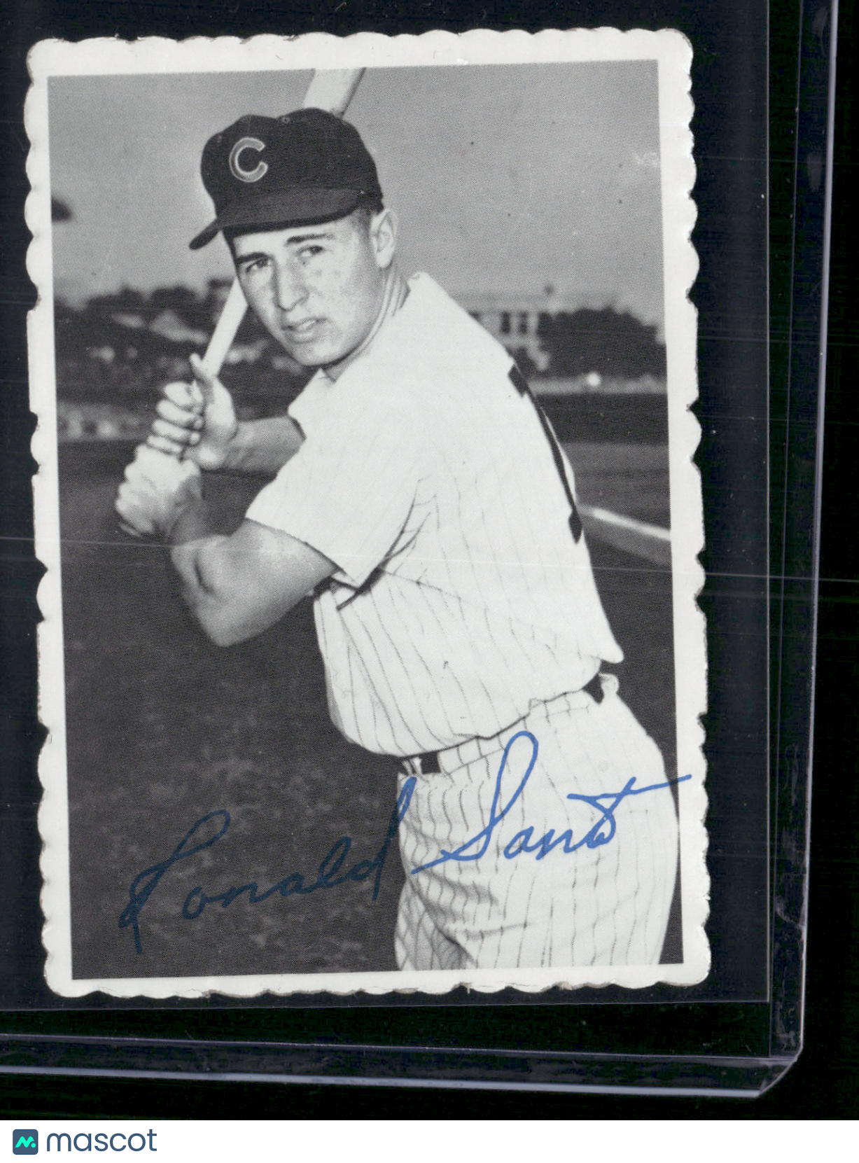 1969 Topps RON SANTO #19 Deckle Edge
