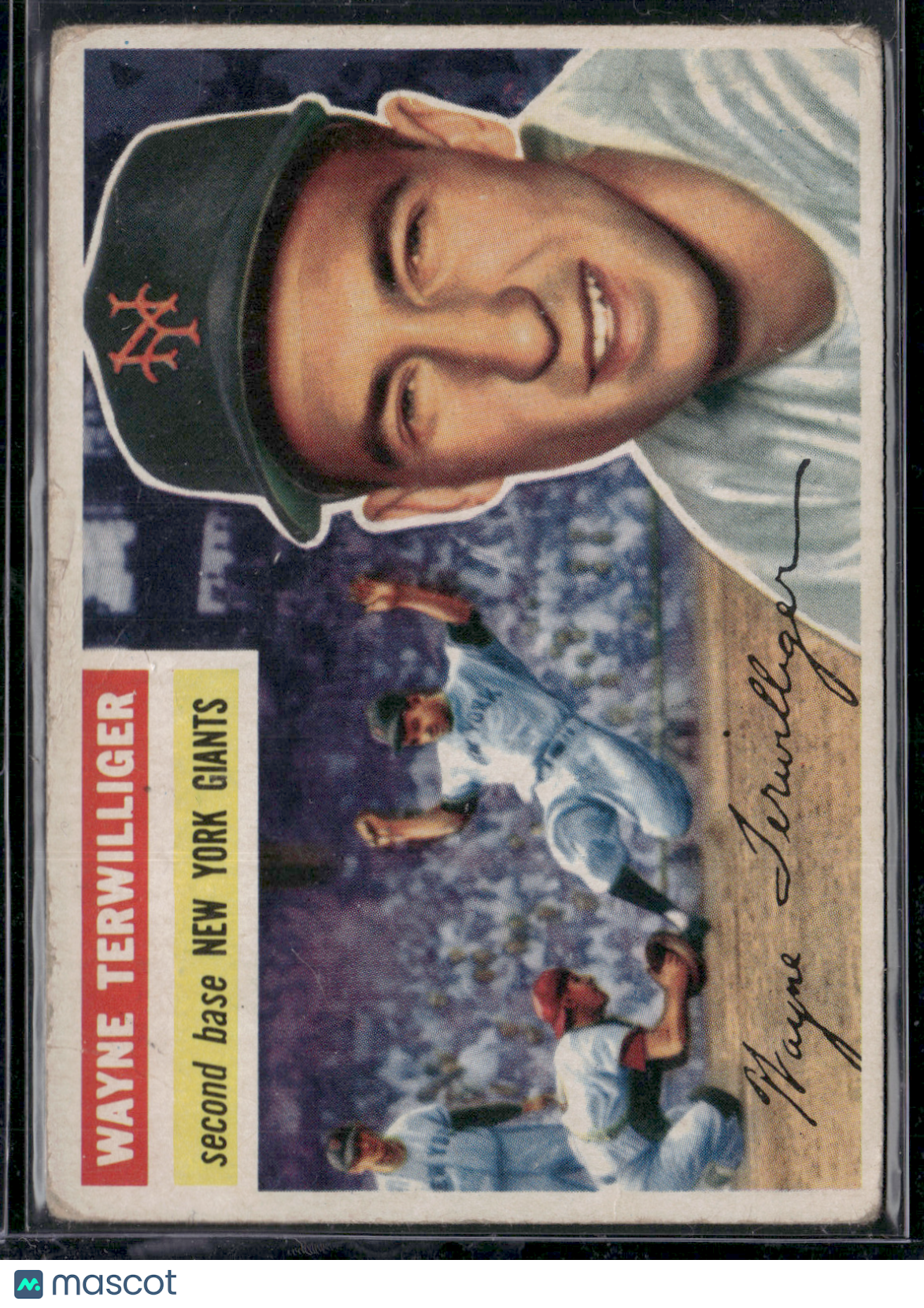 1956 Topps WAYNE TERWILLIGER #73 Light Wrinkles