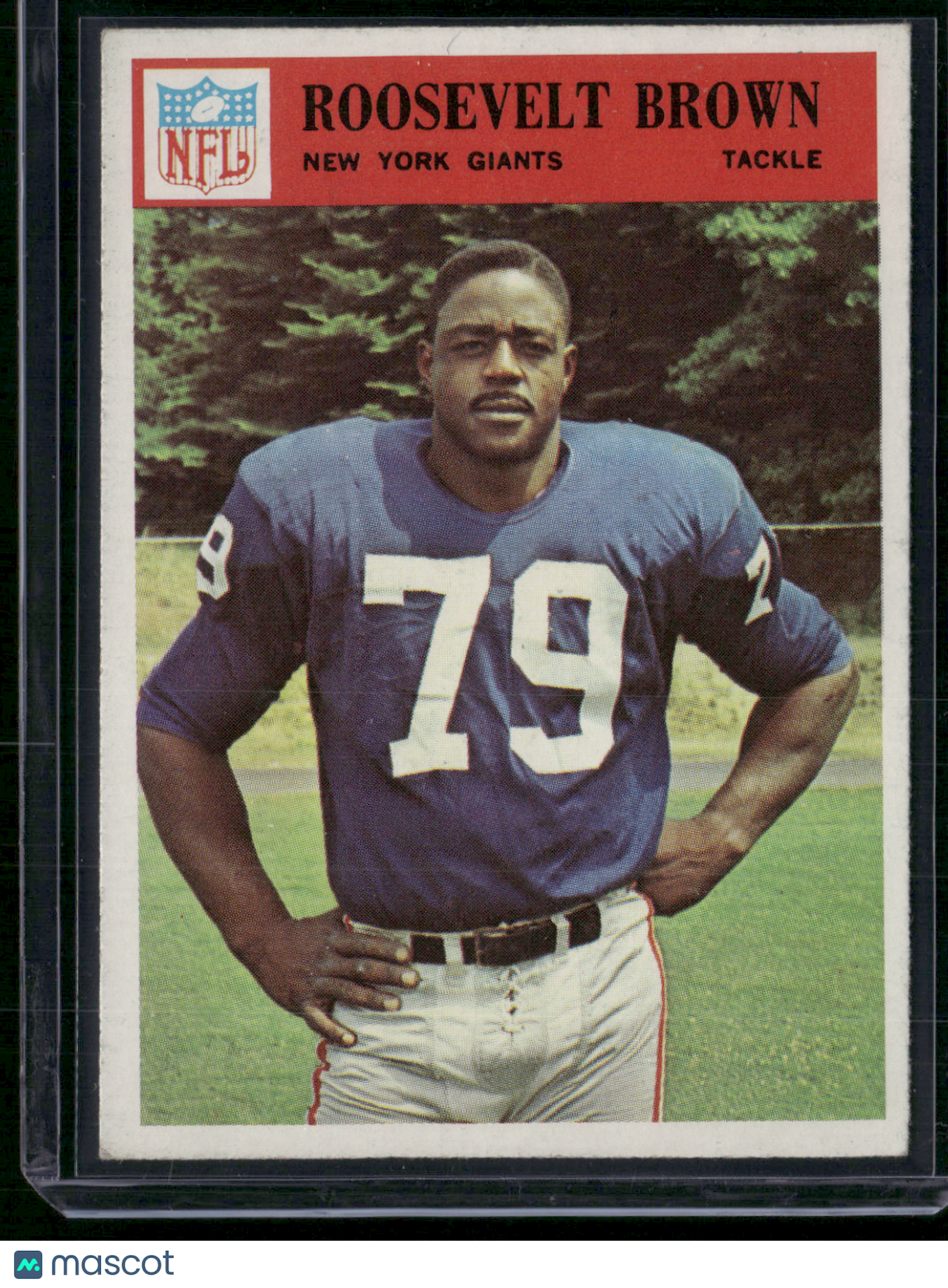 1966 Philadelphia ROOSEVELT BROWN #119 (VG/EX)