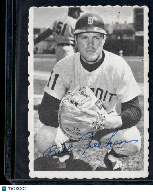 1969 Deckle BILL FREEHAN #10 Stain (VG)