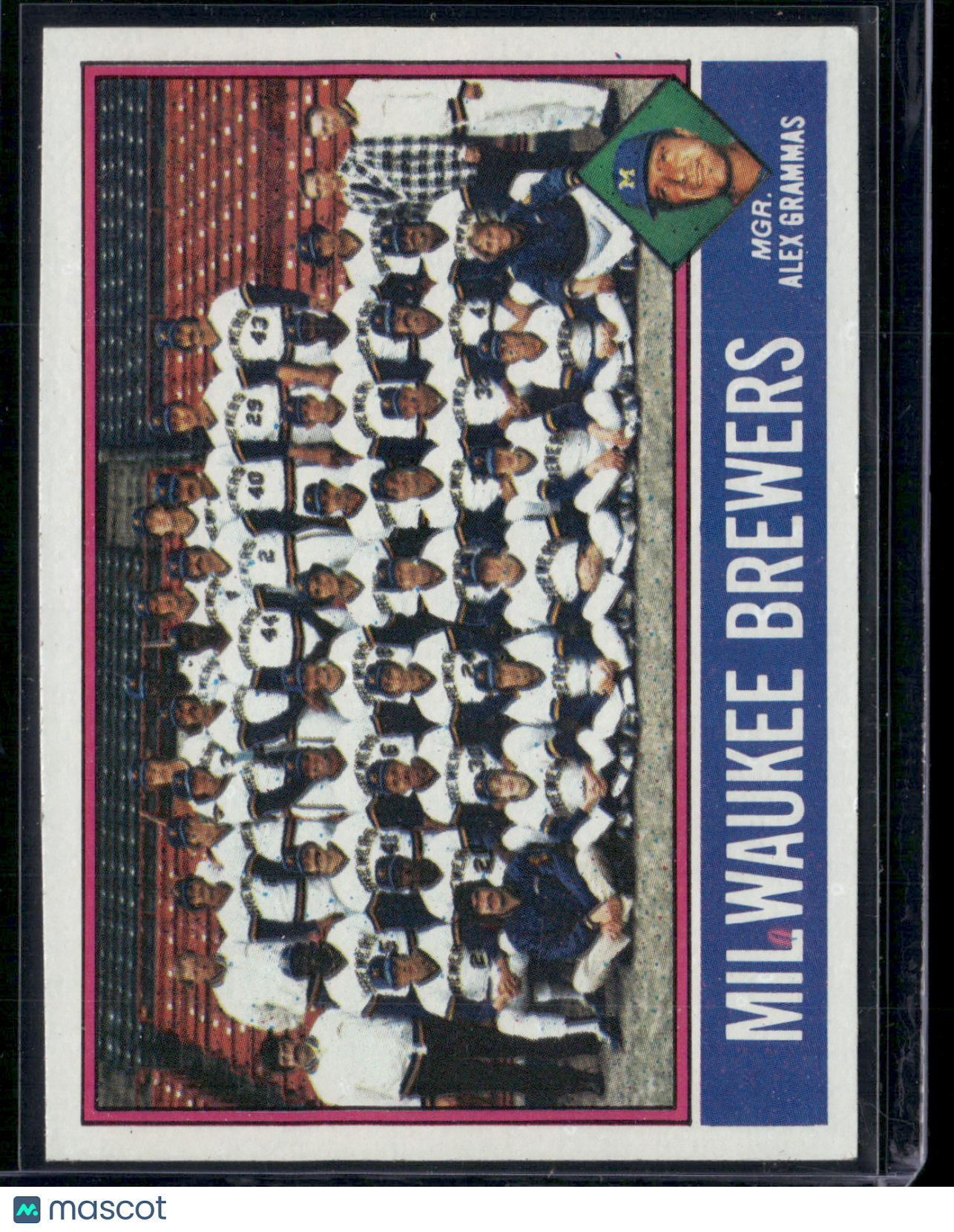 1976 Topps MILWAUKEE BREWERS #606 (EX)