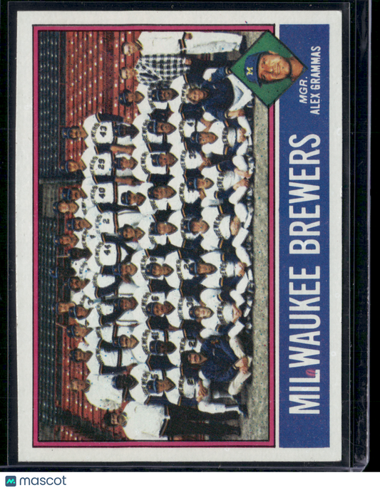 1976 Topps MILWAUKEE BREWERS #606 (EX)