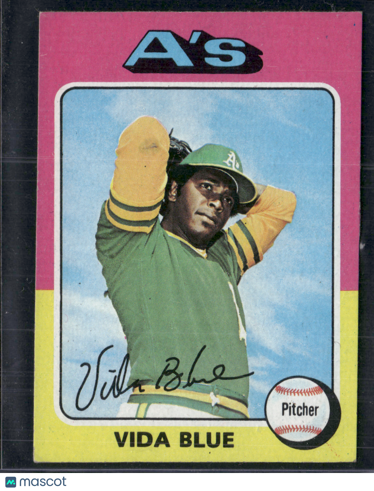1975 Topps Mini VIDA BLUE #510 (VG/EX)