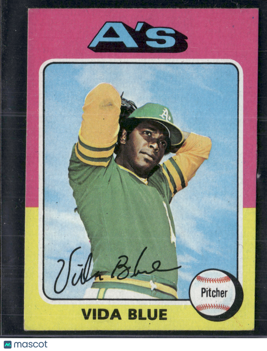 1975 Topps Mini VIDA BLUE #510 (VG/EX)
